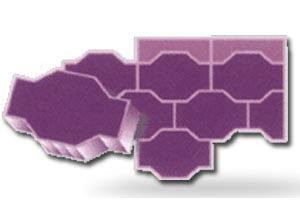 Zámková dlažba 6 masla Formy.sk